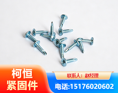 枣庄华司钻尾丝