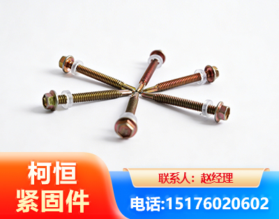 枣庄六角钻尾丝