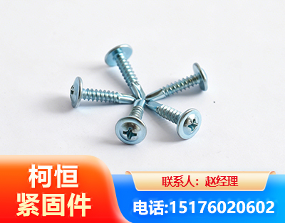 枣庄华司钻尾丝
